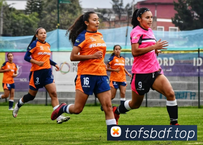 巅峰国际平台生态图