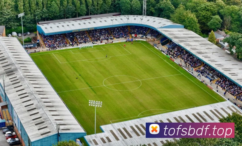 巅峰国际全站App